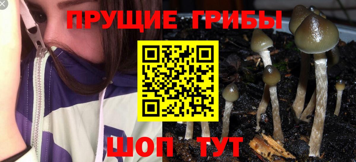 Галлюциногенные грибы ЛСД  Псилоцибиновые грибы прущие грибы  Вход с VPN  Нальчик 